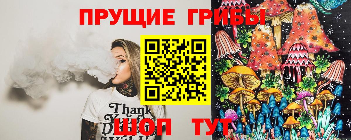 Галлюциногенные грибы Psilocybine cubensis  Псилоцибиновые грибы Cubensis  Ачинск  Вход с VPN 