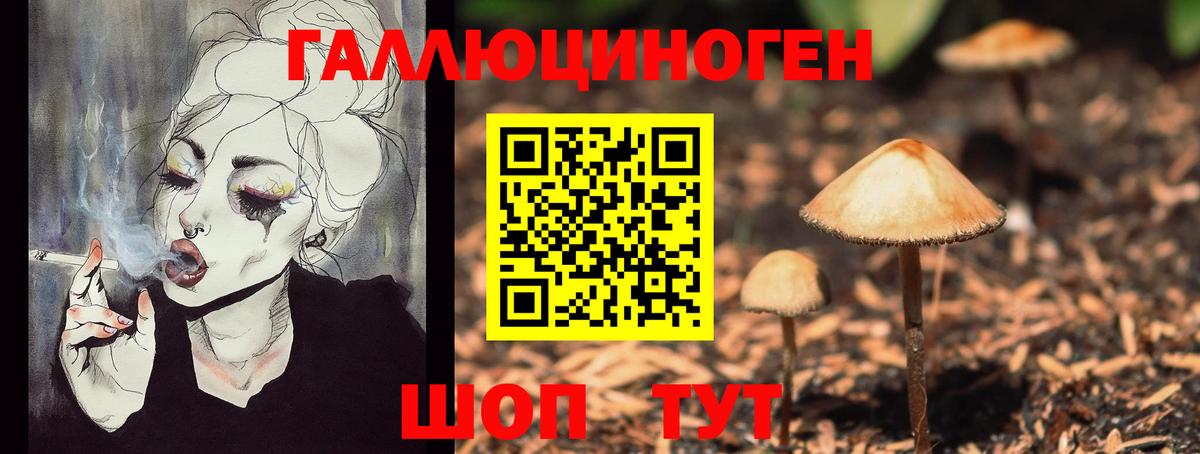 Псилоцибиновые грибы прущие грибы Ачинск